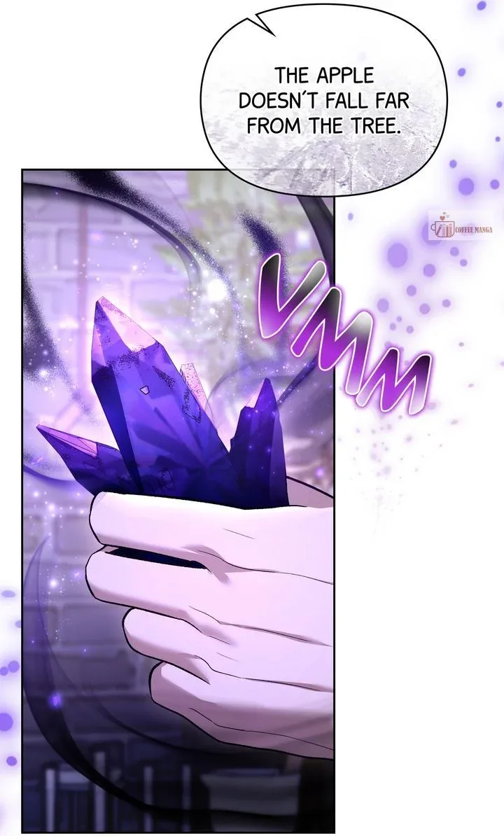 I Want To Become The Emperor, So I Need A Divorce Chapter 63 page 9