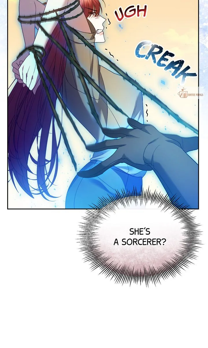 I Want To Become The Emperor, So I Need A Divorce Chapter 68 page 27