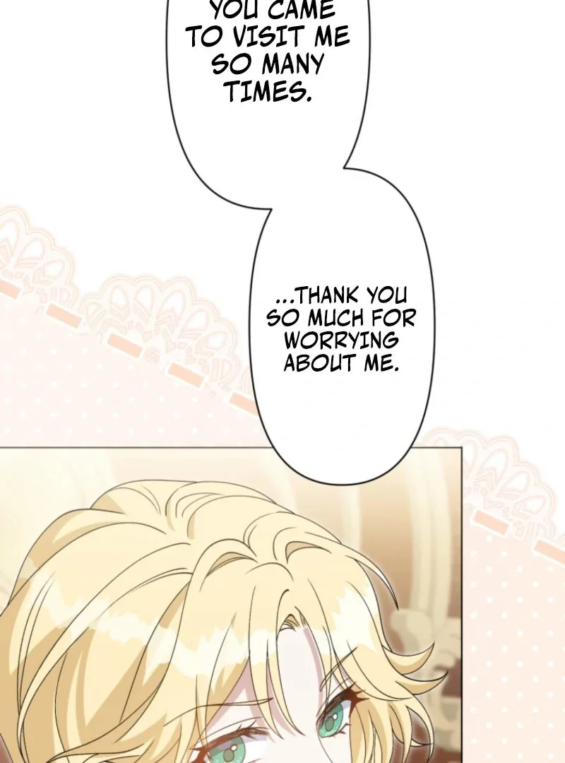 I Wanted a Divorce, But My Husband Became Obsessed With Me Chapter 25 page 12