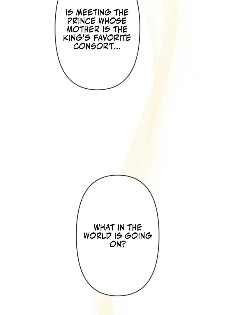 I Wanted a Divorce, But My Husband Became Obsessed With Me Chapter 30 page 5