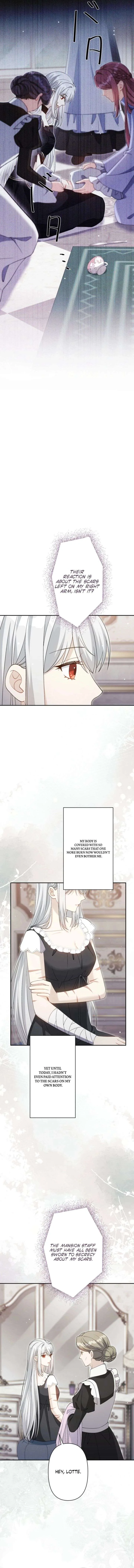 I Wanted a Divorce, But My Husband Became Obsessed With Me Chapter 47 page 3