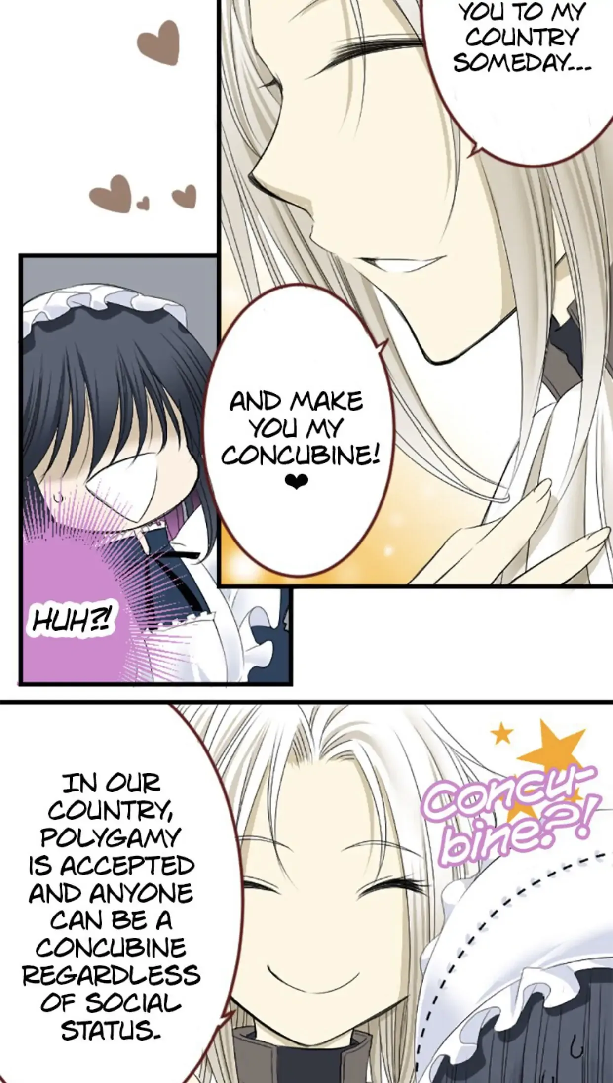 I was Reborn as a Housekeeper in a Parallel World! Chapter 5 page 8