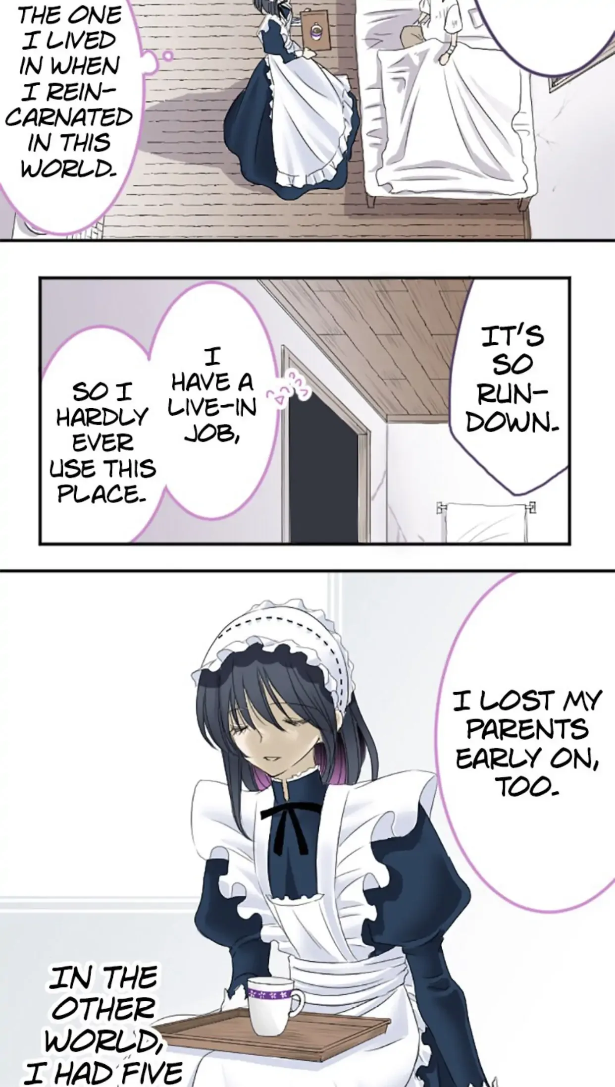 I was Reborn as a Housekeeper in a Parallel World! Chapter 6 page 11