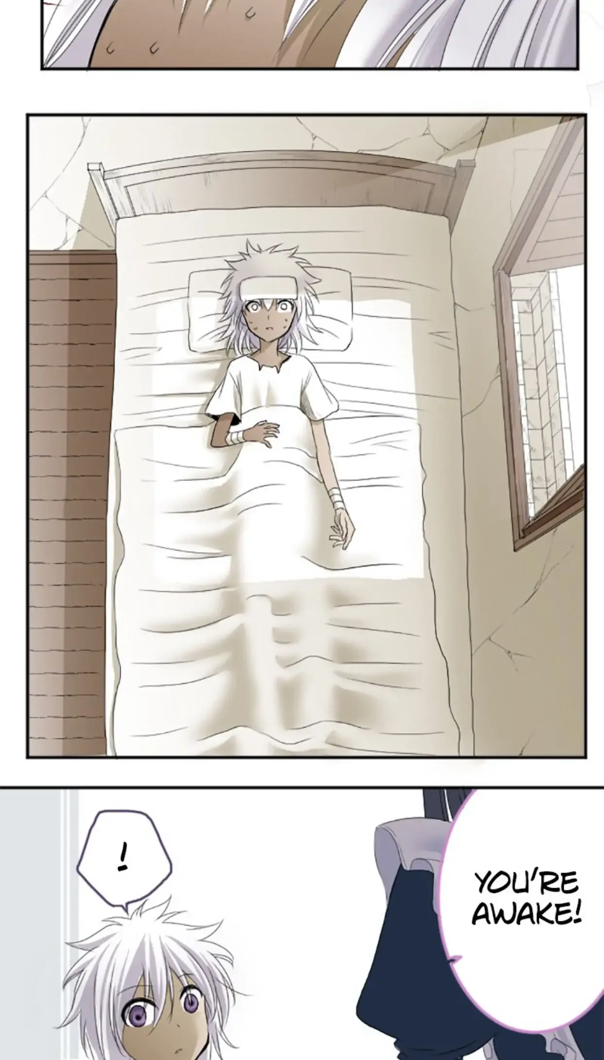I was Reborn as a Housekeeper in a Parallel World! Chapter 6 page 9