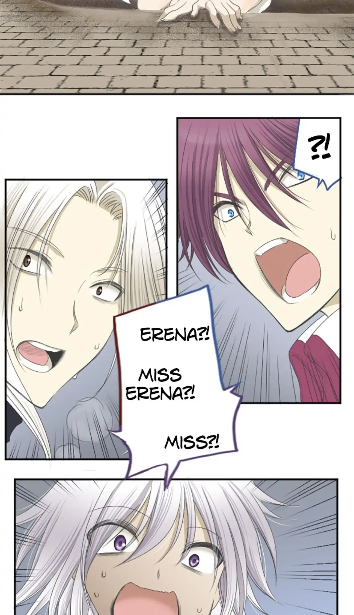 I was Reborn as a Housekeeper in a Parallel World! Chapter 7 page 43