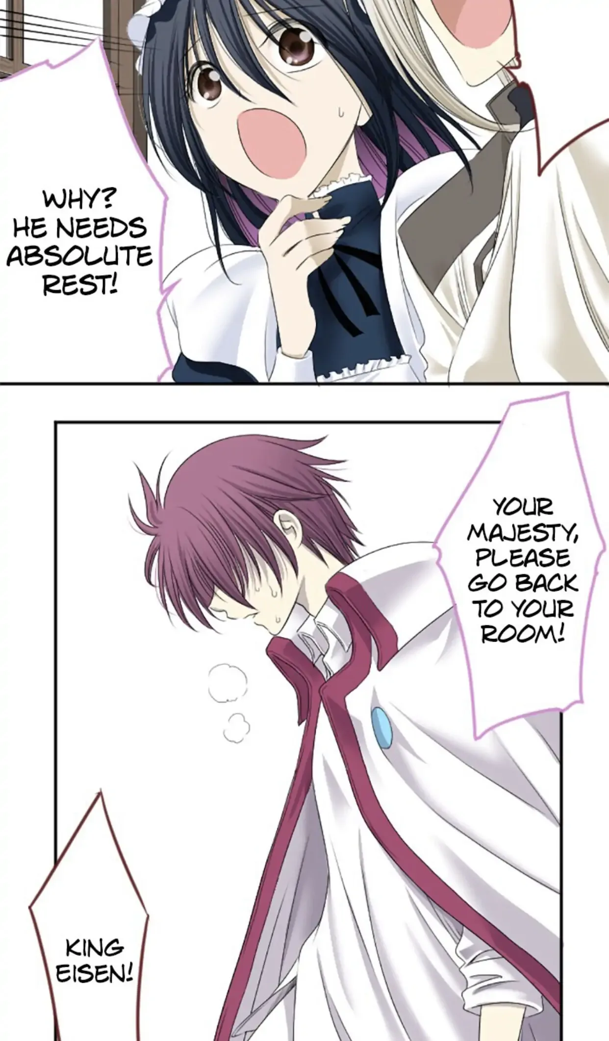 I was Reborn as a Housekeeper in a Parallel World! Chapter 10 page 29