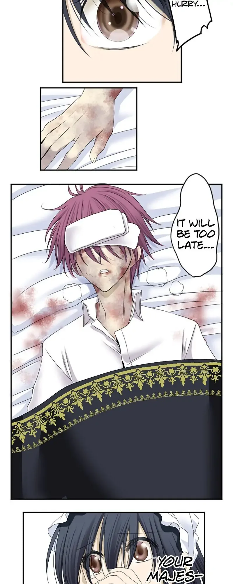 I was Reborn as a Housekeeper in a Parallel World! Chapter 11 page 4