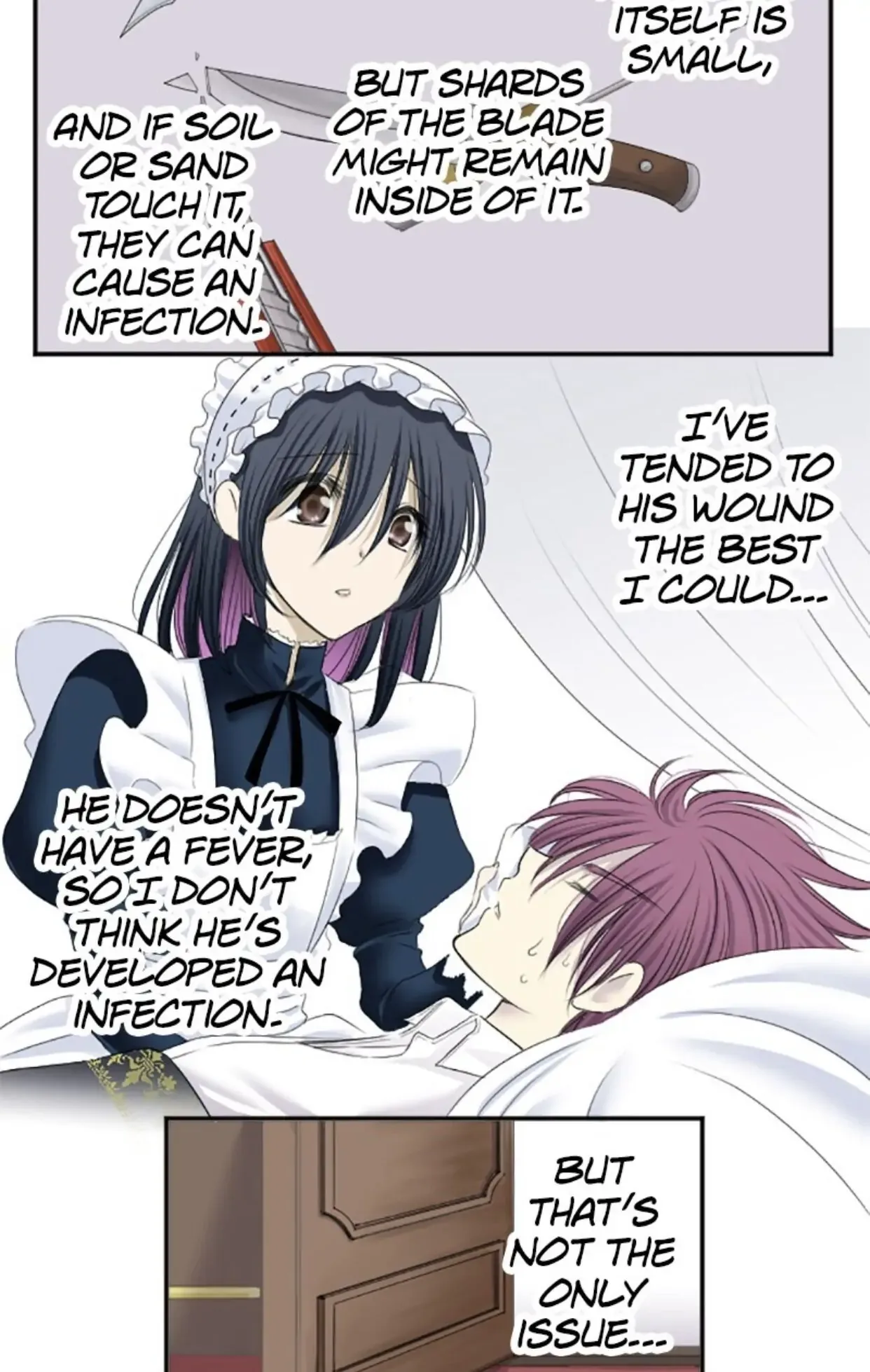 I was Reborn as a Housekeeper in a Parallel World! Chapter 10 page 20