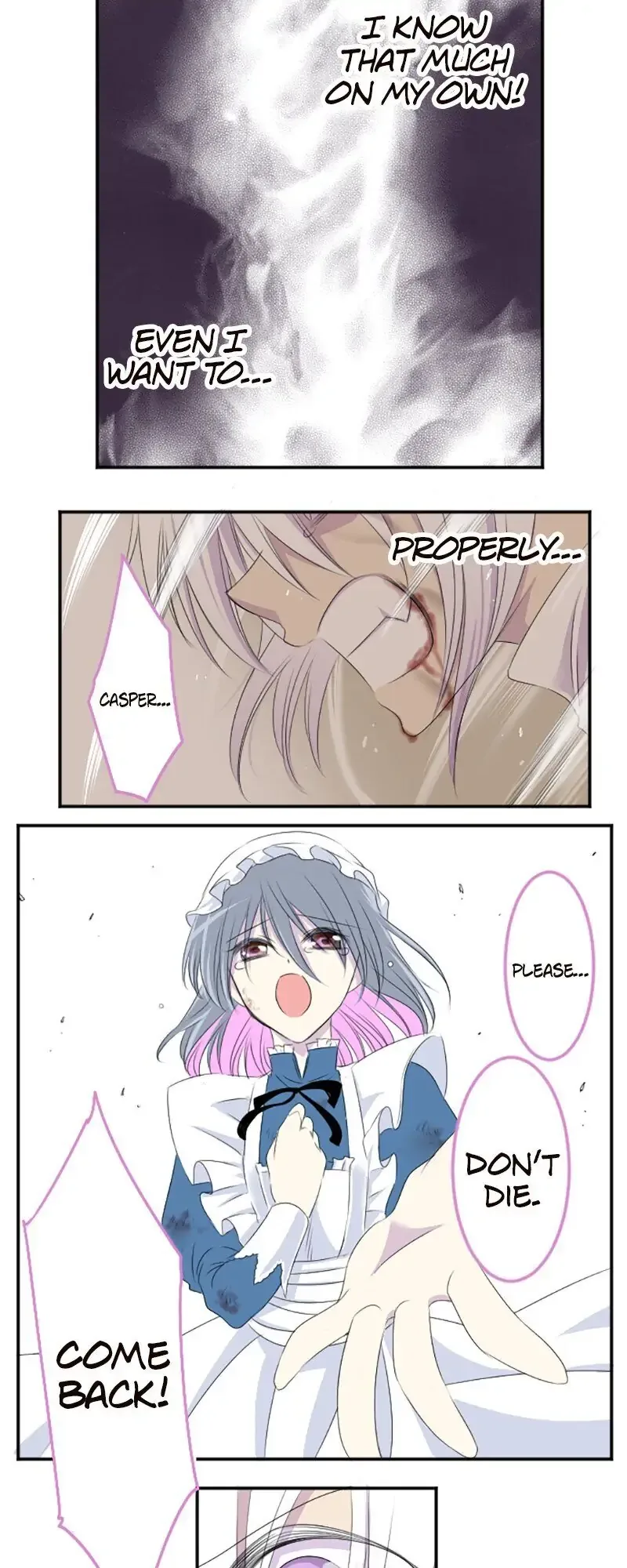 I was Reborn as a Housekeeper in a Parallel World! Chapter 17 page 21