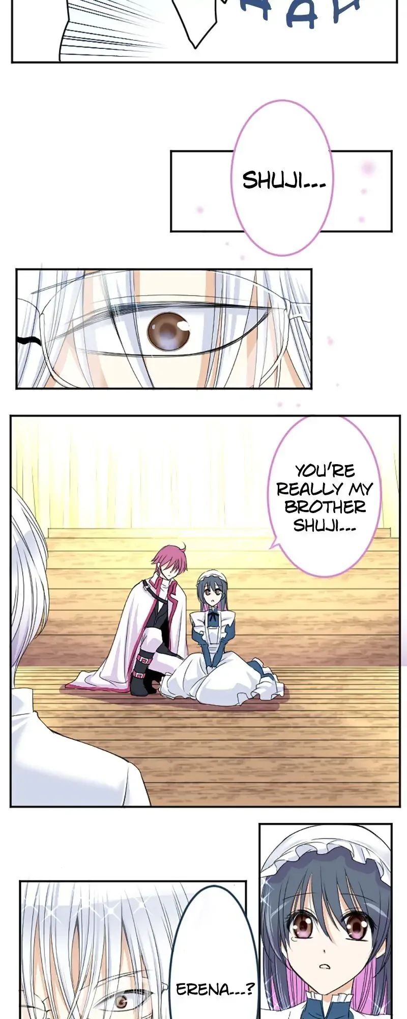 I was Reborn as a Housekeeper in a Parallel World! Chapter 28 page 3