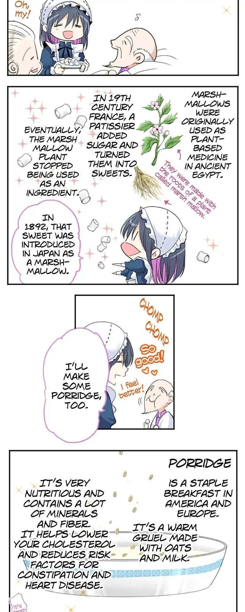 I was Reborn as a Housekeeper in a Parallel World! Chapter 33 page 7