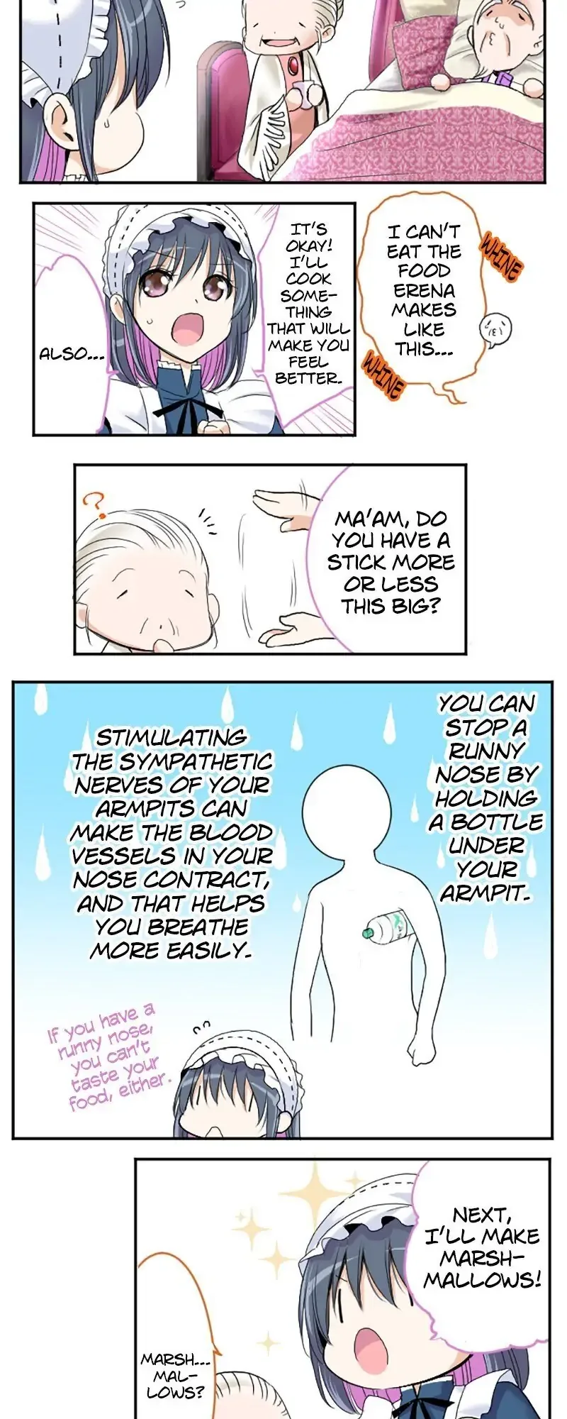 I was Reborn as a Housekeeper in a Parallel World! Chapter 33 page 5