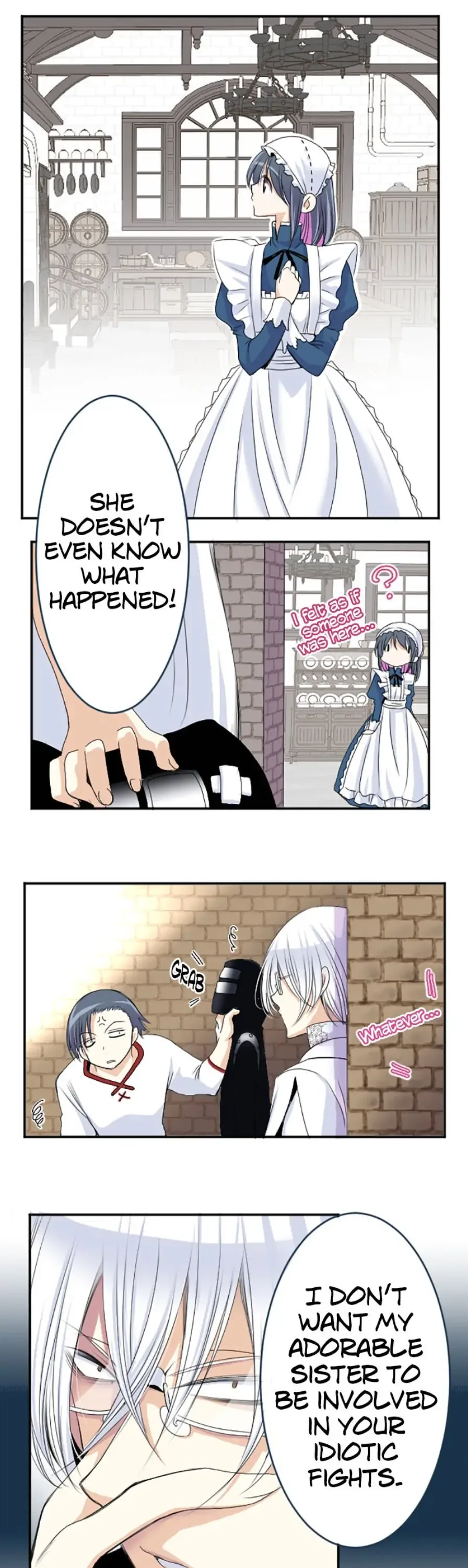 I was Reborn as a Housekeeper in a Parallel World! Chapter 35 page 20
