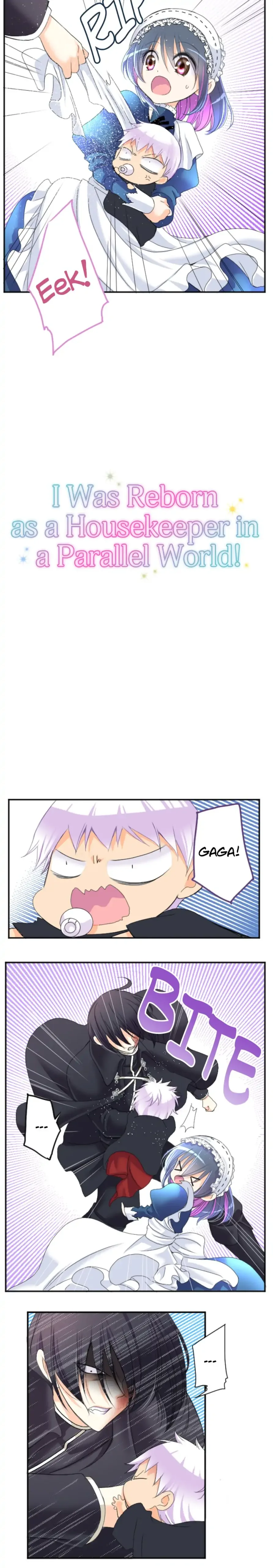 I was Reborn as a Housekeeper in a Parallel World! Chapter 67 page 3