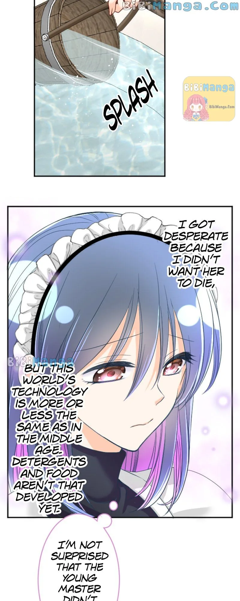 I was Reborn as a Housekeeper in a Parallel World! Chapter 97 page 27