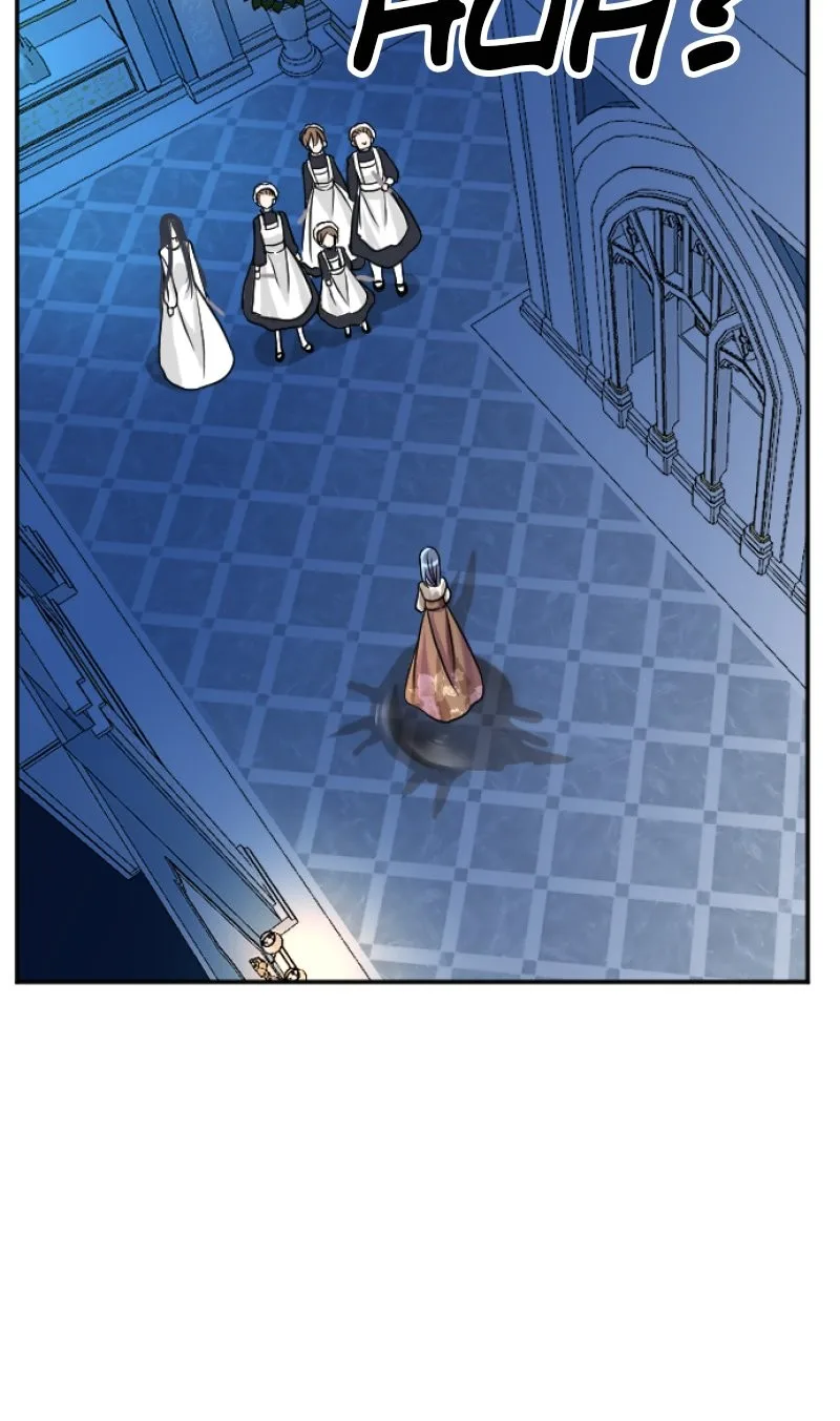 I was Reborn as a Housekeeper in a Parallel World! Chapter 99 page 28