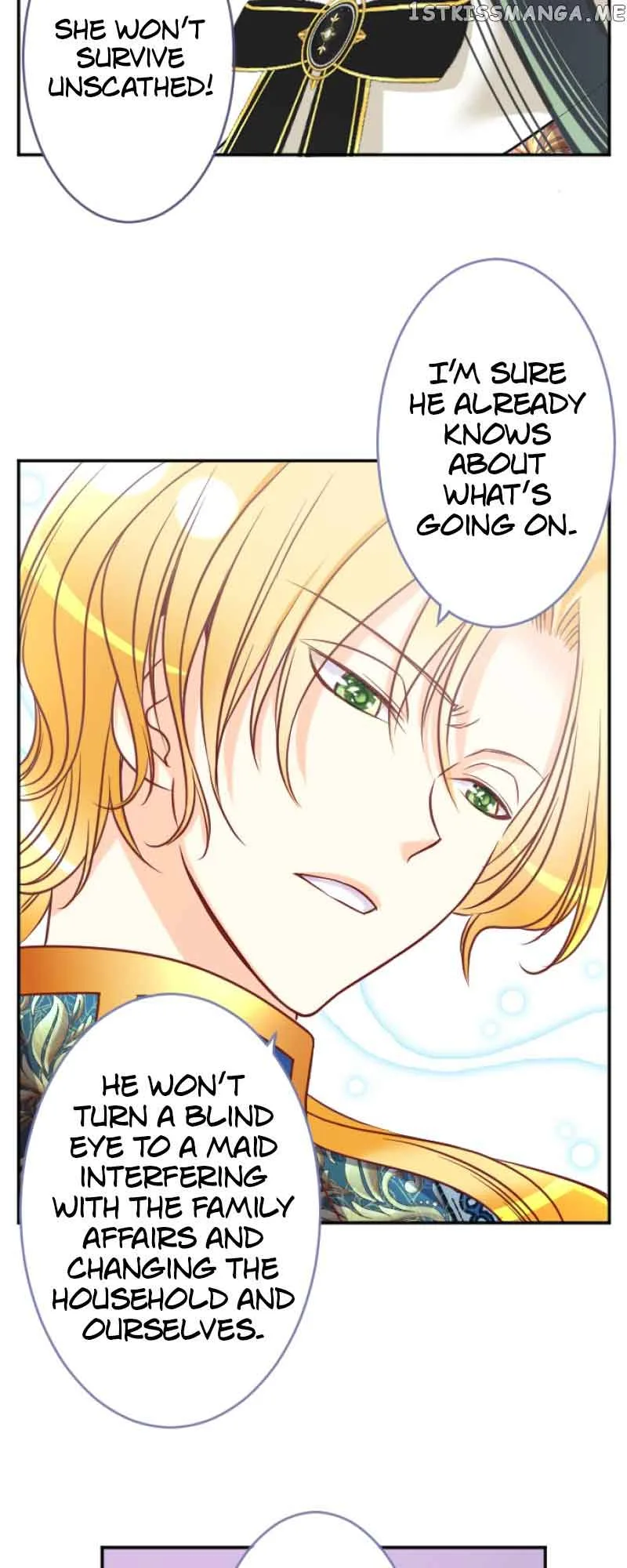 I was Reborn as a Housekeeper in a Parallel World! Chapter 105 page 19