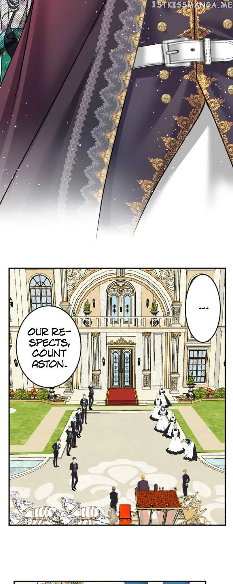 I was Reborn as a Housekeeper in a Parallel World! Chapter 105 page 26