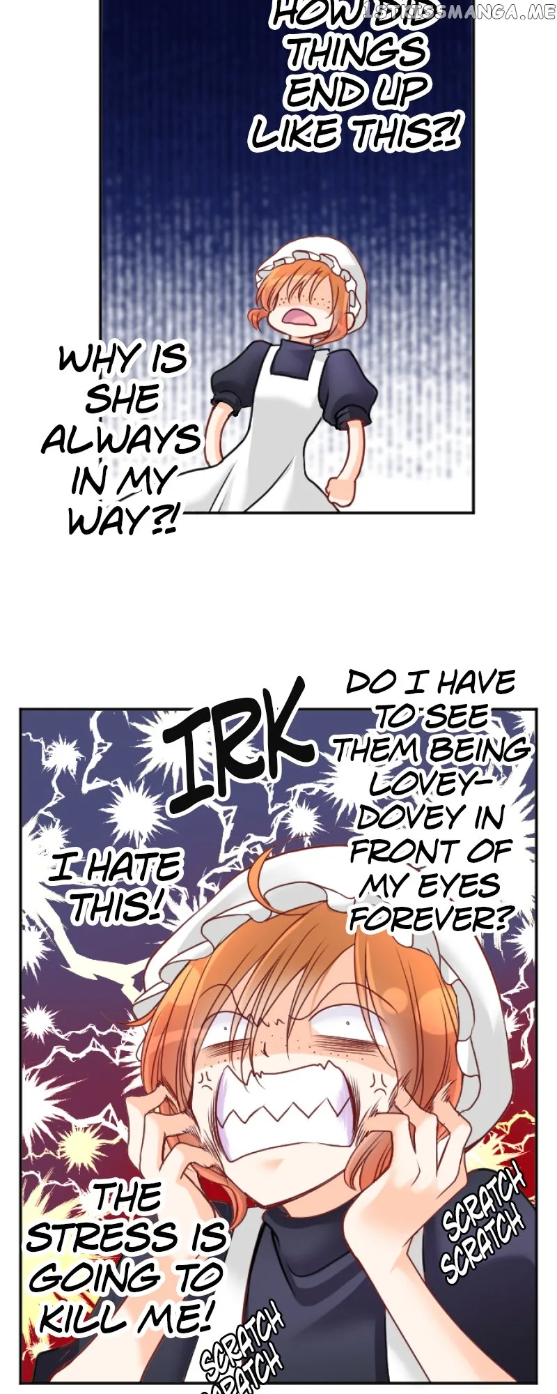 I was Reborn as a Housekeeper in a Parallel World! Chapter 118 page 29