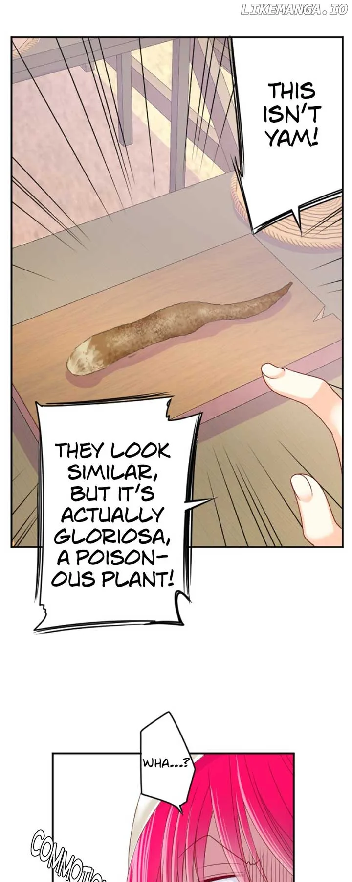 I was Reborn as a Housekeeper in a Parallel World! Chapter 162 page 35
