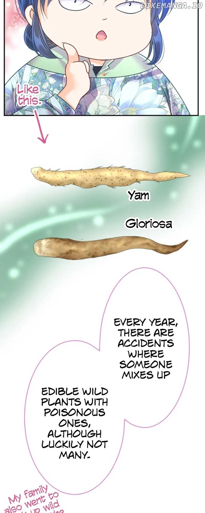 I was Reborn as a Housekeeper in a Parallel World! Chapter 162 page 52