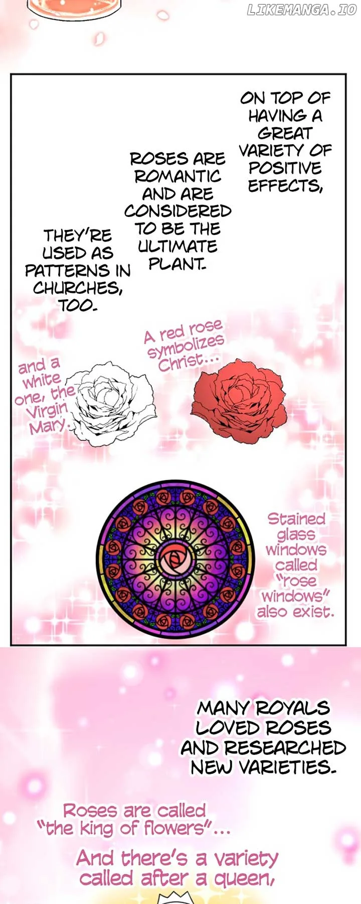 I was Reborn as a Housekeeper in a Parallel World! Chapter 161 page 41