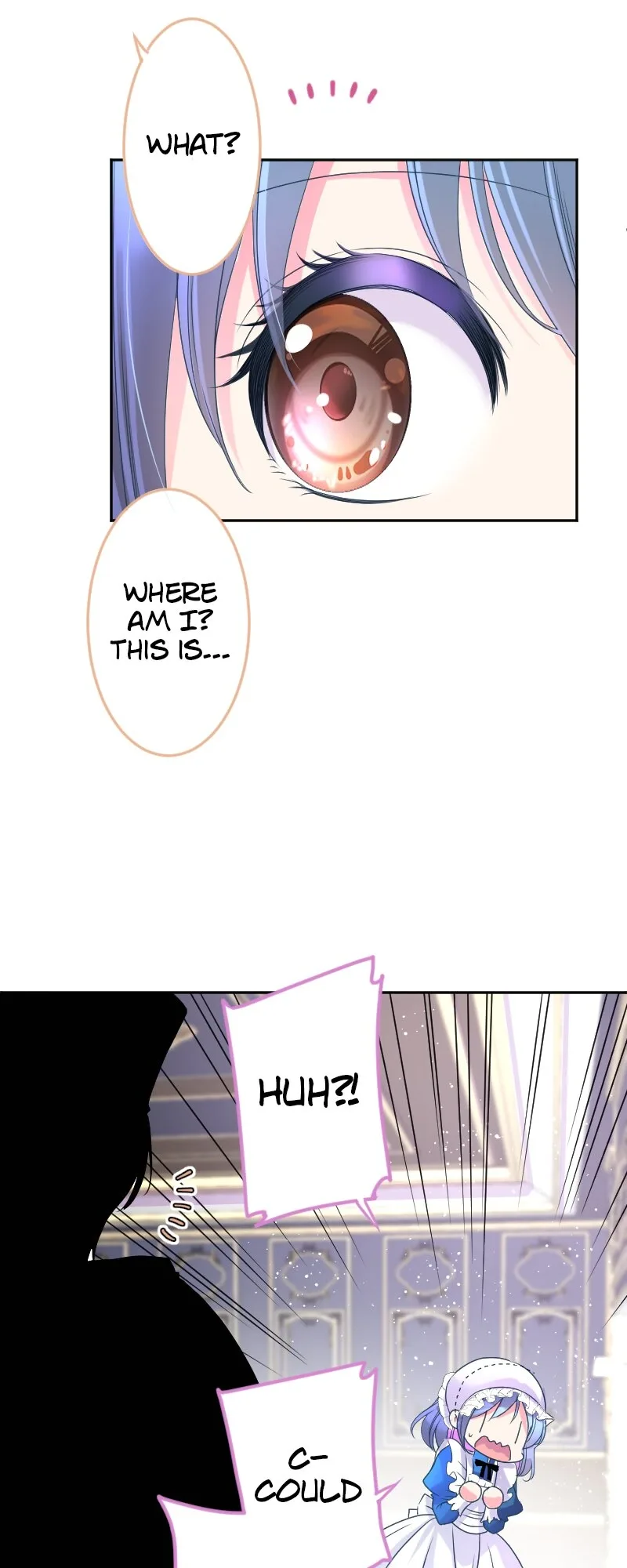 I was Reborn as a Housekeeper in a Parallel World! Chapter 188 page 12