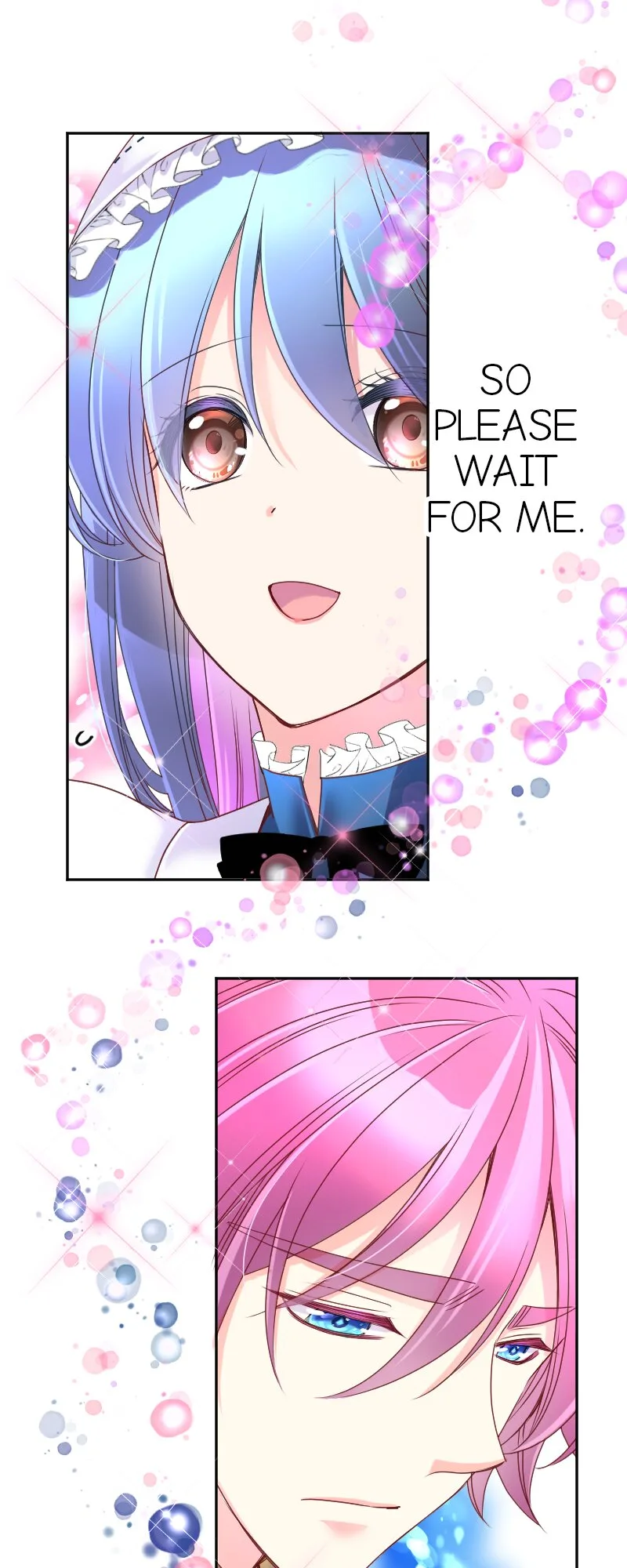 I was Reborn as a Housekeeper in a Parallel World! Chapter 191 page 45