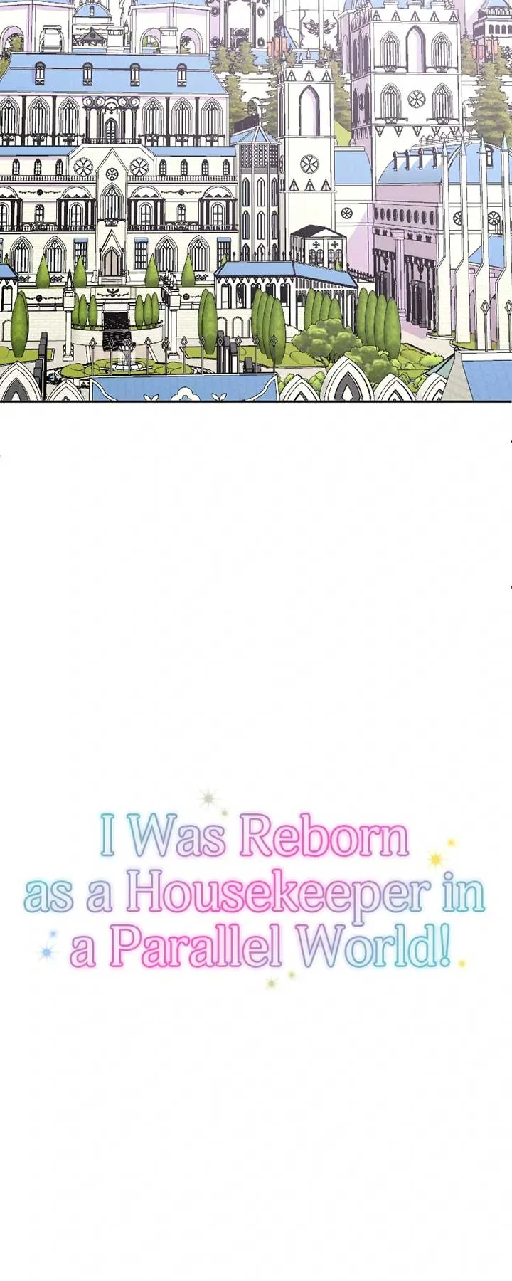 I was Reborn as a Housekeeper in a Parallel World! Chapter 203 page 10
