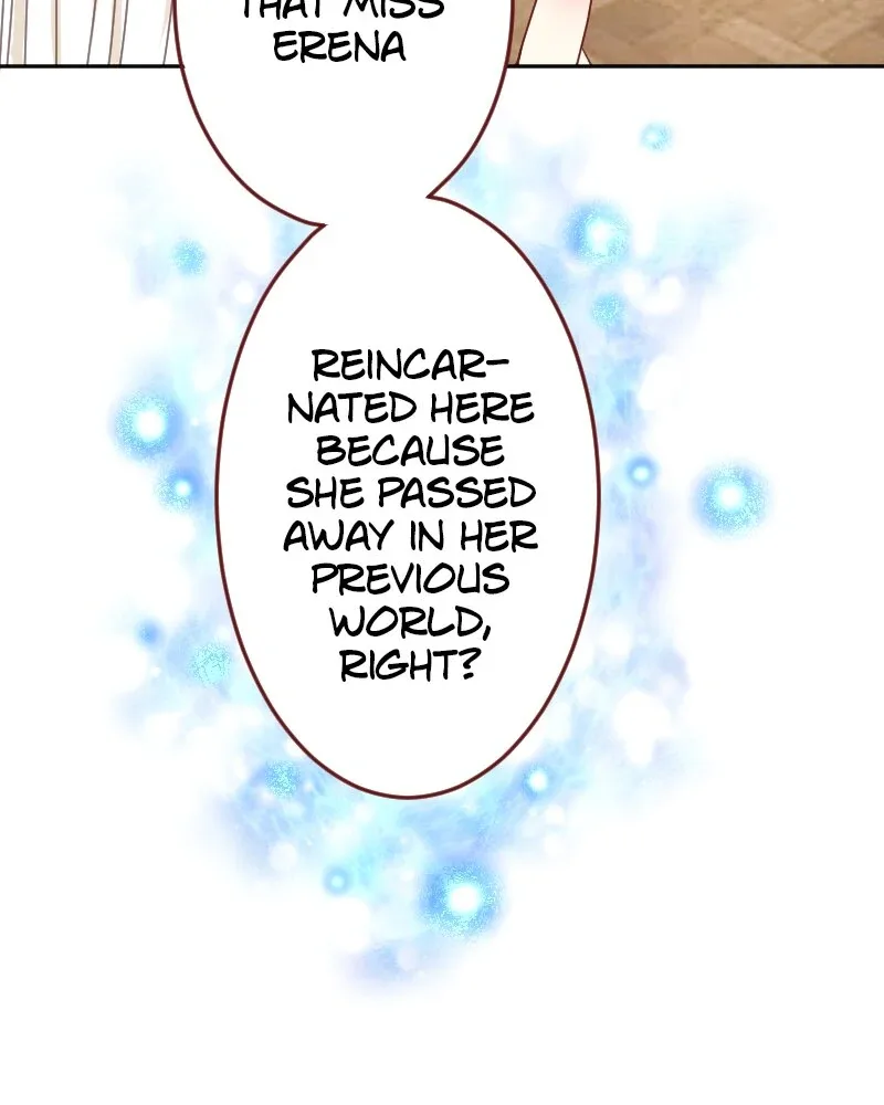 I was Reborn as a Housekeeper in a Parallel World! Chapter 209 page 29