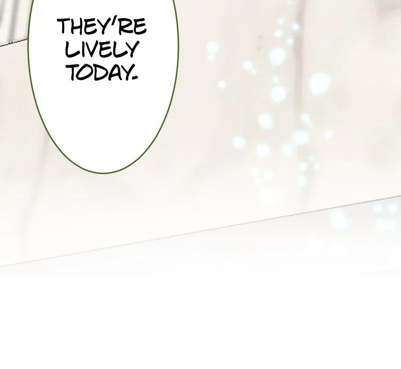 I was Reborn as a Housekeeper in a Parallel World! Chapter 236 page 61