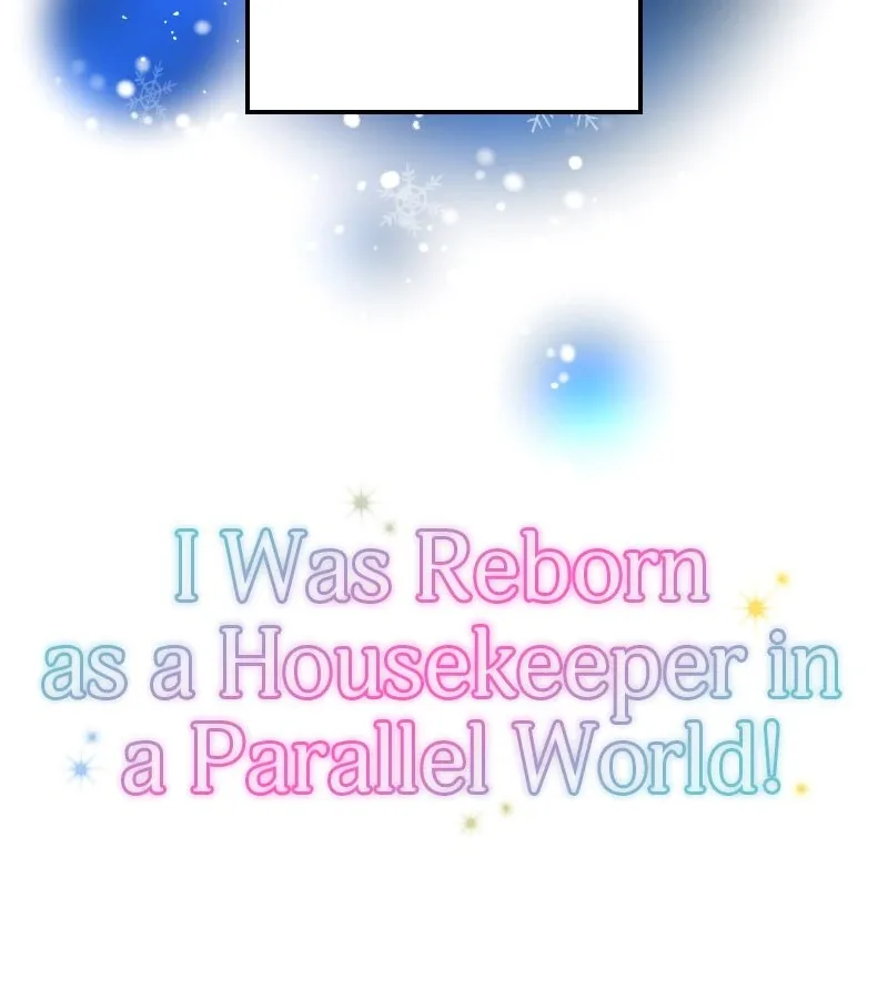 I was Reborn as a Housekeeper in a Parallel World! Chapter 245 page 3