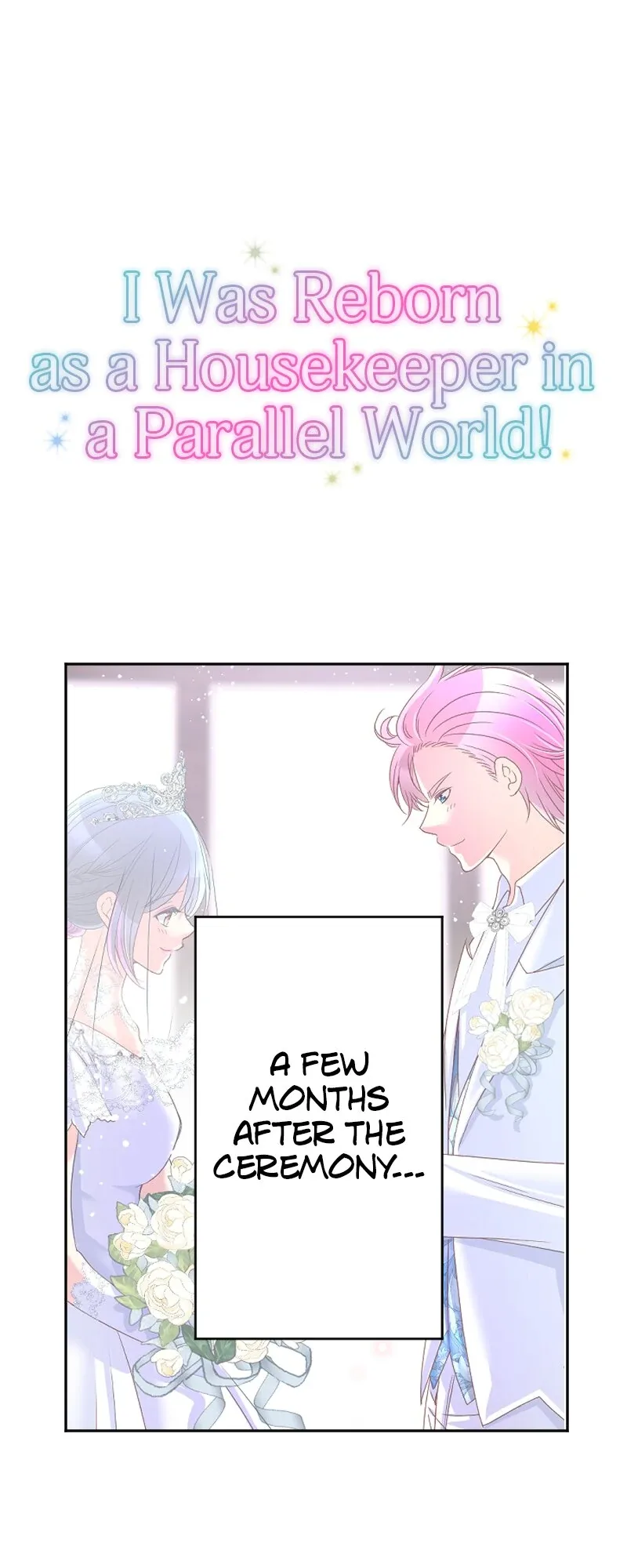 I was Reborn as a Housekeeper in a Parallel World! Chapter 243 page 2