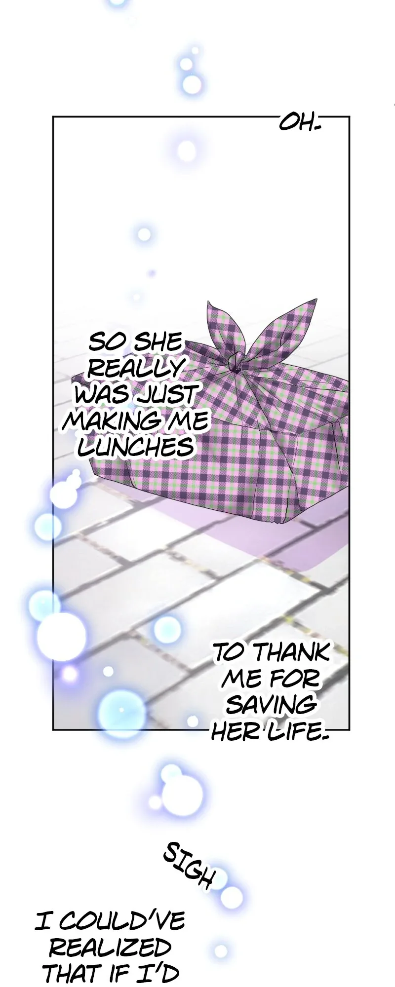 I was Reborn as a Housekeeper in a Parallel World! Chapter 243 page 36