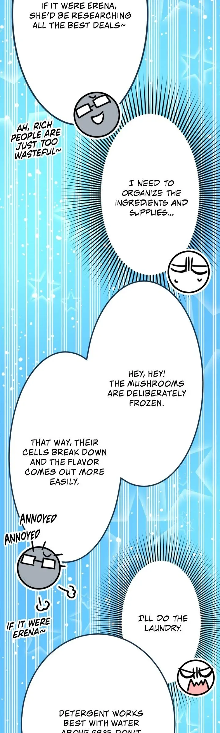 I was Reborn as a Housekeeper in a Parallel World! Chapter 249 page 11