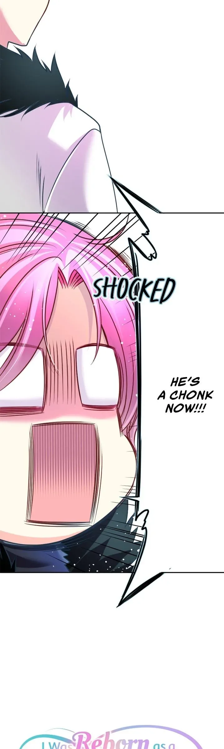 I was Reborn as a Housekeeper in a Parallel World! Chapter 253 page 8