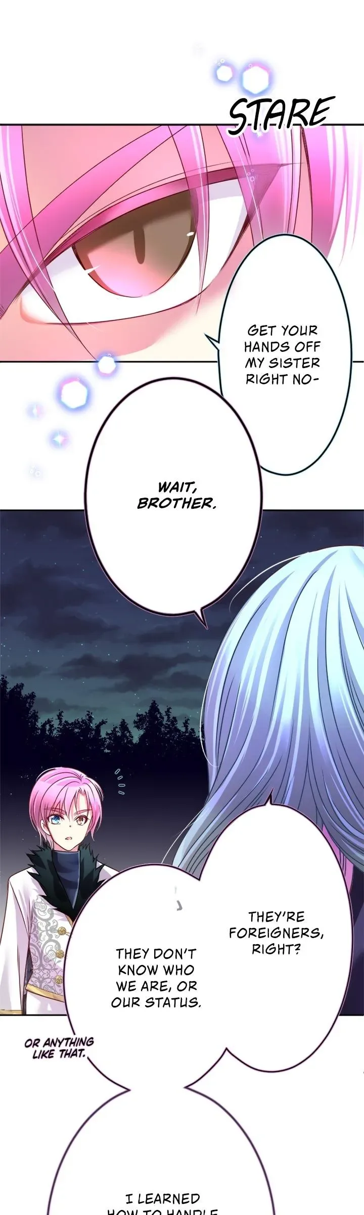 I was Reborn as a Housekeeper in a Parallel World! Chapter 253 page 30