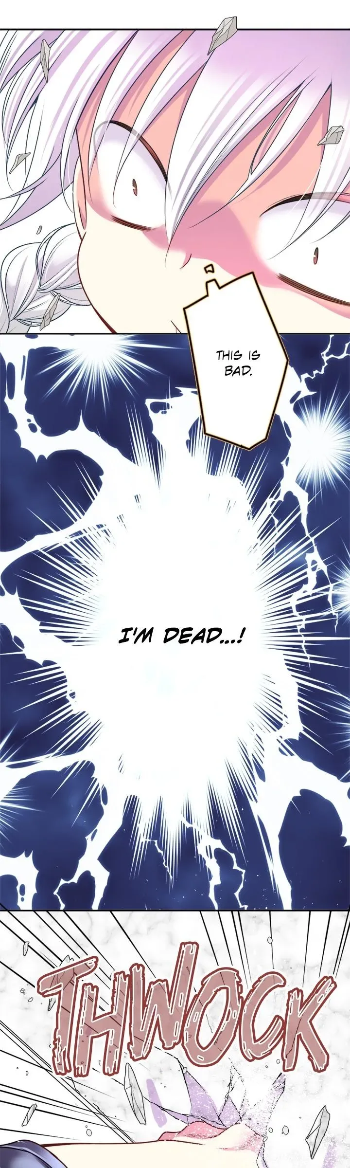 I was Reborn as a Housekeeper in a Parallel World! Chapter 256 page 22