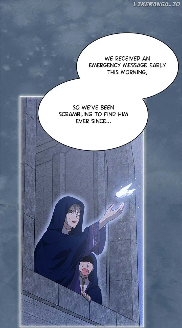 I Was Reincarnated as a Baby Fox God Chapter 41 page 17