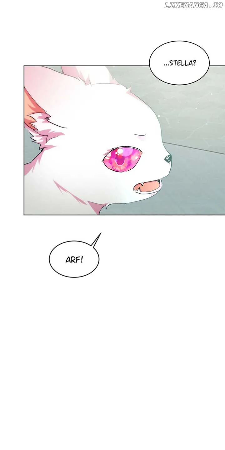 I Was Reincarnated as a Baby Fox God Chapter 43 page 17