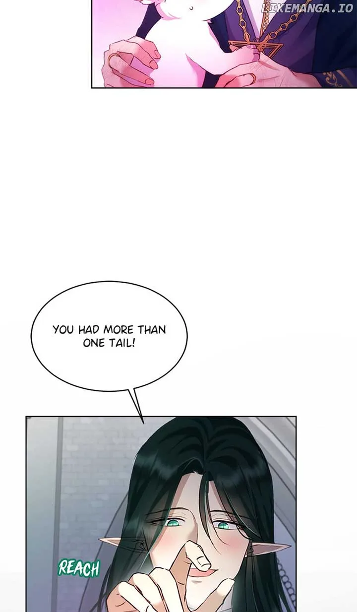 I Was Reincarnated as a Baby Fox God Chapter 43 page 48