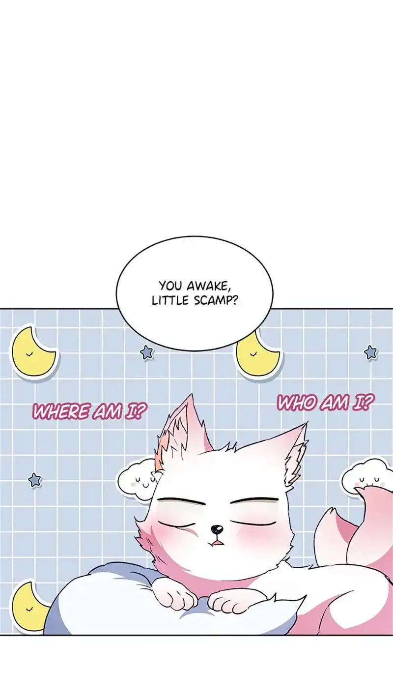 I Was Reincarnated as a Baby Fox God Chapter 52 page 53