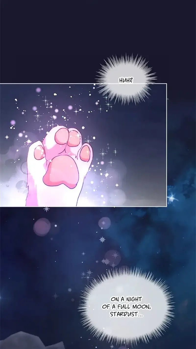 I Was Reincarnated as a Baby Fox God Chapter 52 page 68