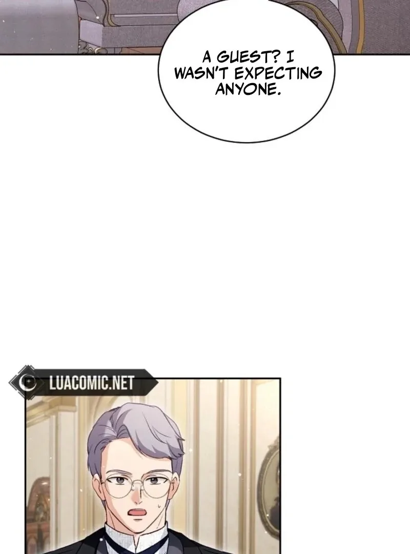 I Was Reincarnated as a Baby Fox God Chapter 94 page 47