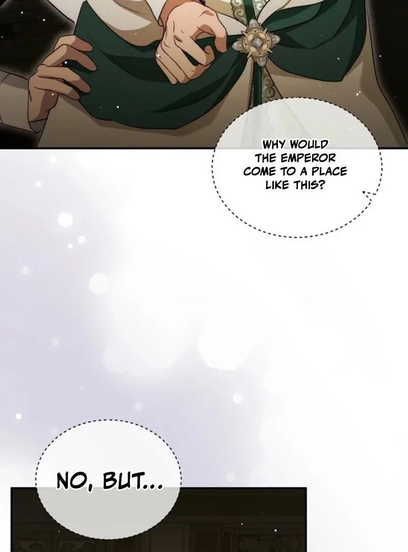 I Was Reincarnated as a Baby Fox God Chapter 106 page 105