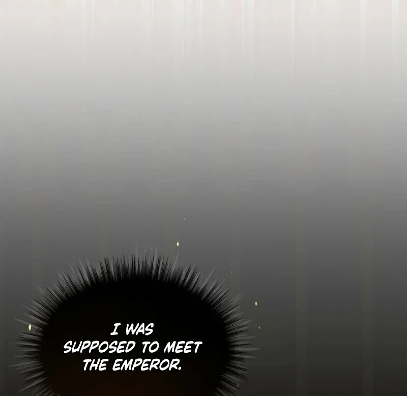 I Was Reincarnated as a Baby Fox God Chapter 106 page 97