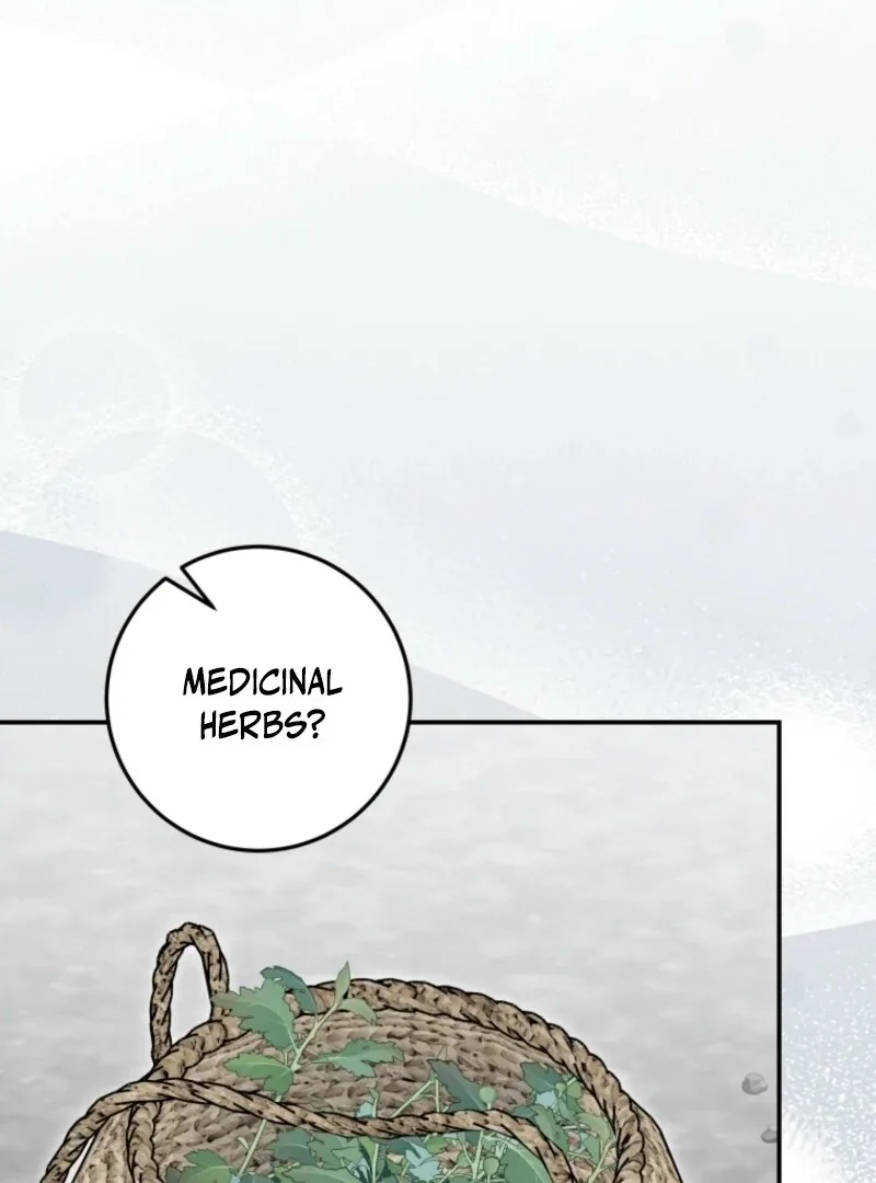 I Was Reincarnated as the Spoiled Baby Empress Chapter 33 page 63