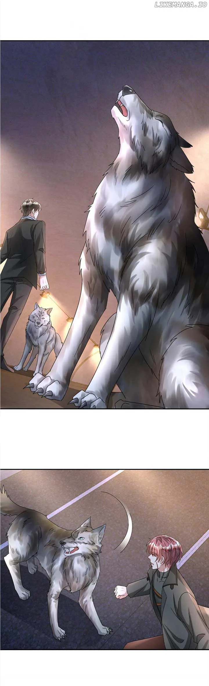 I Was Rocked to the World’s Richest Man in a Matchmaking Office Chapter 239 page 12