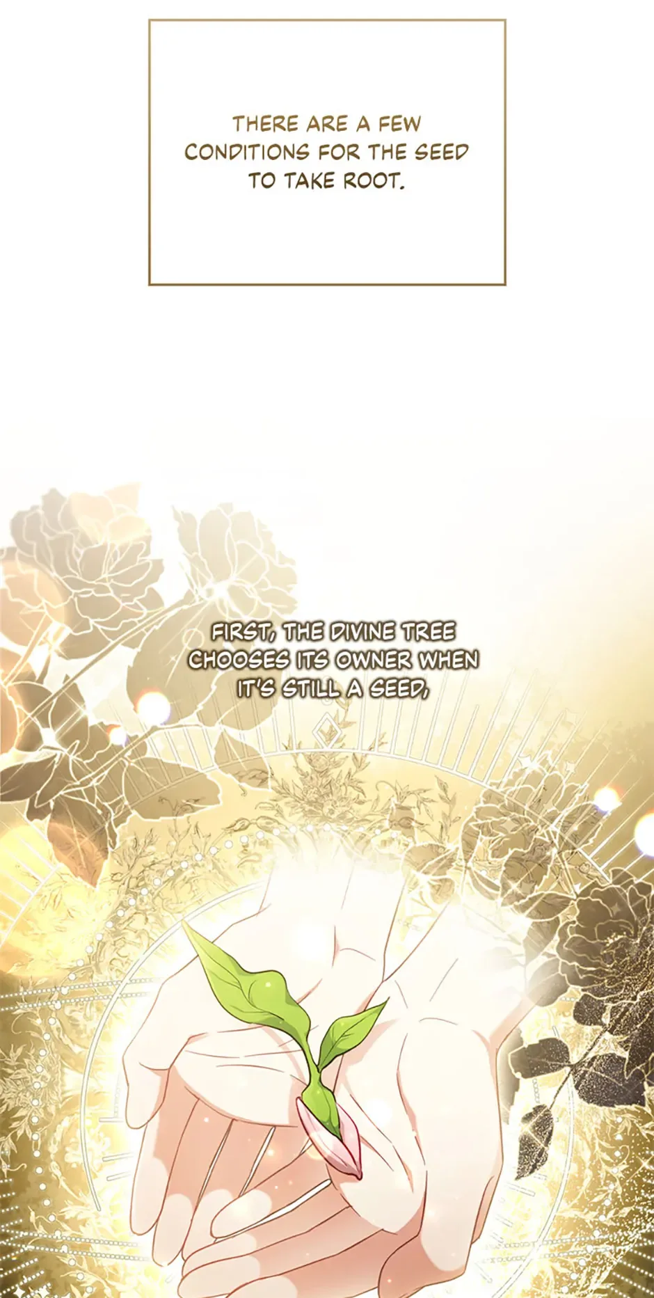 I Was Seduced by the Sick Male Lead Chapter 80 page 25