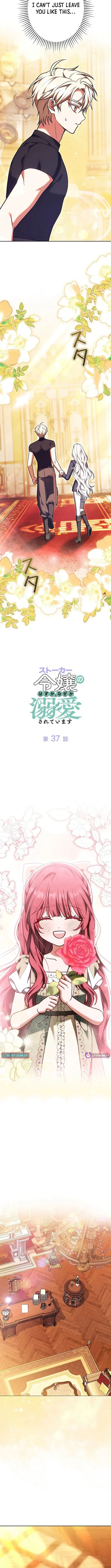 I Was Supposed to Be a Stalker Lady, but Somehow I’m Being Adored Instead Chapter 37 page 7